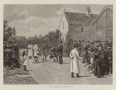 Jugement des chiots de foxhound - Godfrey Douglas Giles